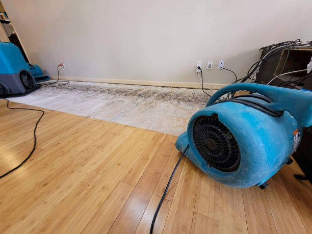 Professional Water Damage Repair technician working in Lakebay, WA